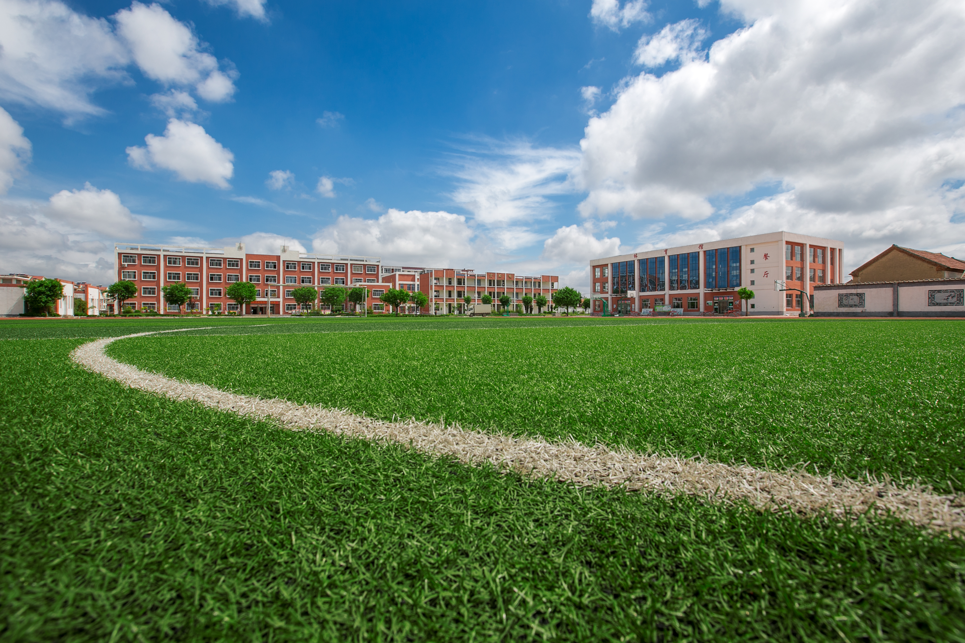 Estándares de calidad de la FIFA Césped de fútbol sin relleno para campos de fútbol