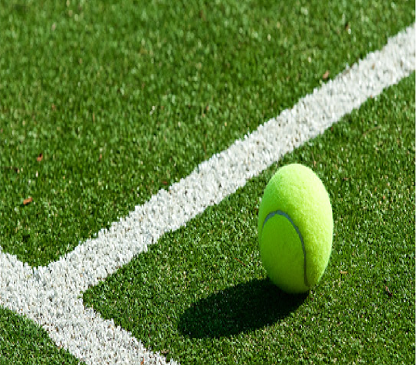 Césped deportivo de fútbol bicolor de 50 mm para campo de deportes al aire libre de golf 