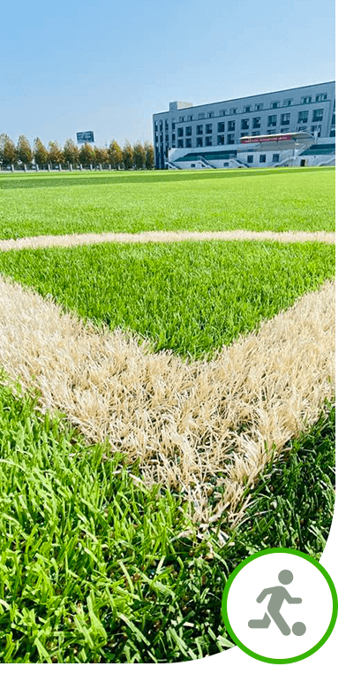 Césped artificial multideportivo resistente a la intemperie de material PE superior para fútbol