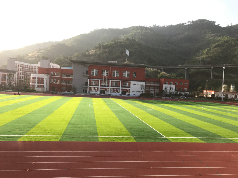 Hierba al aire libre del fútbol de Matt de la resistencia a las inclemencias del tiempo para el partido profesional