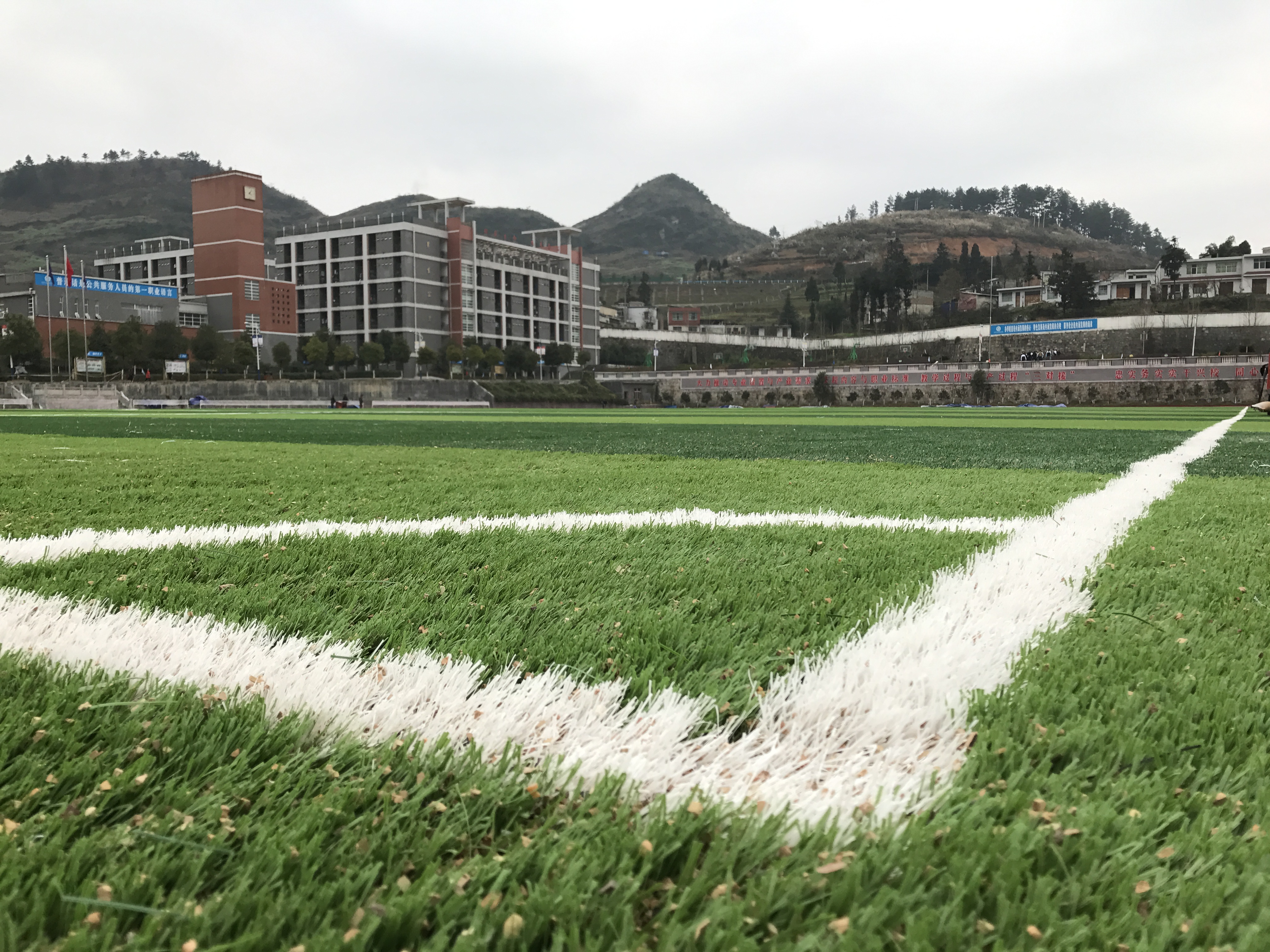 Hilado fibrilado en forma de M Hilado de césped artificial sintético para fútbol